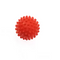 Massage Ball Gift